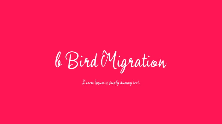 b Bird Migration Font