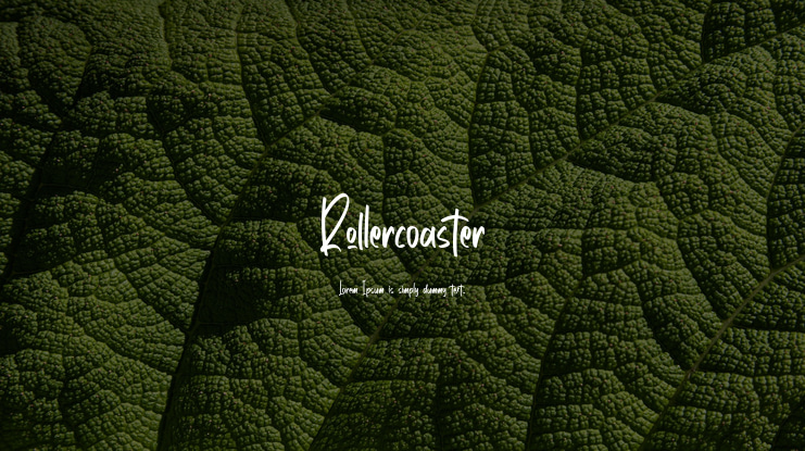 Rollercoaster Font Family