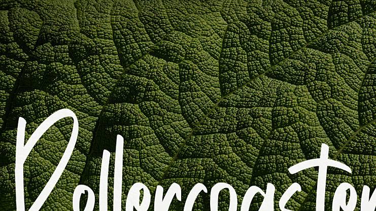 Rollercoaster Font Family