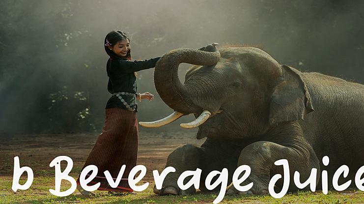b Beverage Juice Font