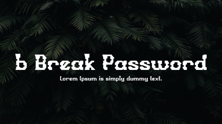 b Break Password Font