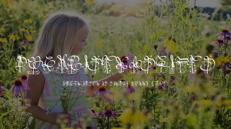 PWChristmasGifts Font