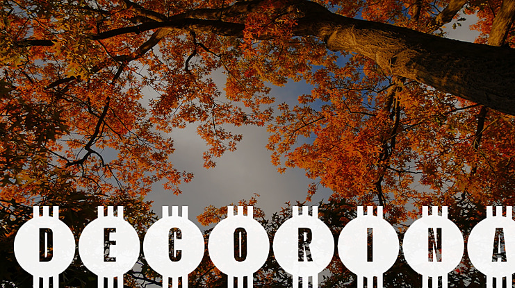 Decorina Font