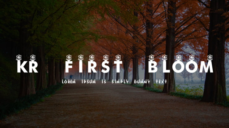 KR First Bloom Font