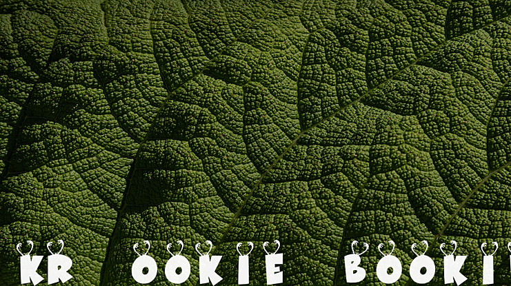 KR Ookie Bookie Font