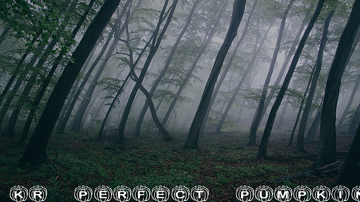 KR Perfect Pumpkin Font