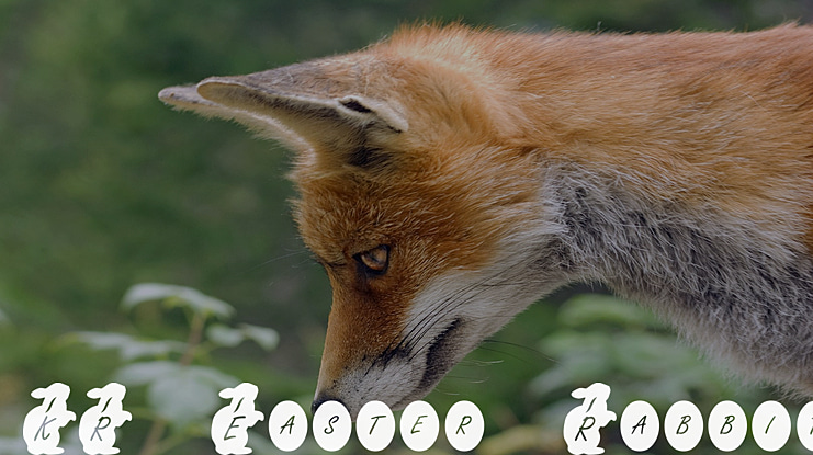 KR Easter Rabbit Font