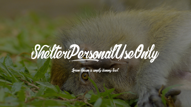 Shelter_PersonalUseOnly Font