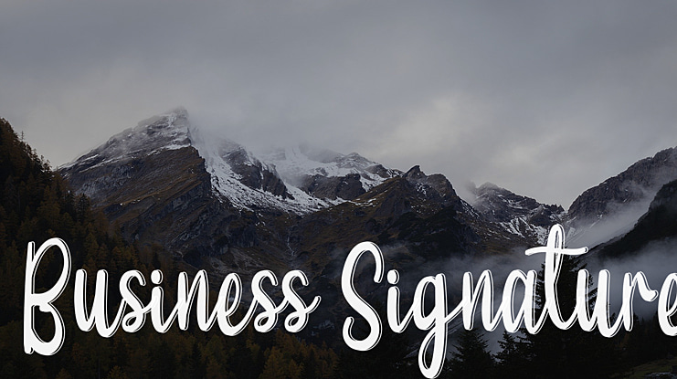 Business Signature Font