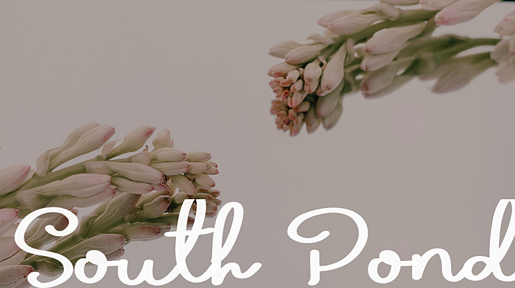 South Pond Font
