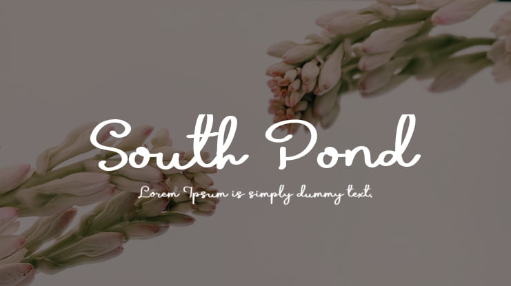 South Pond Font