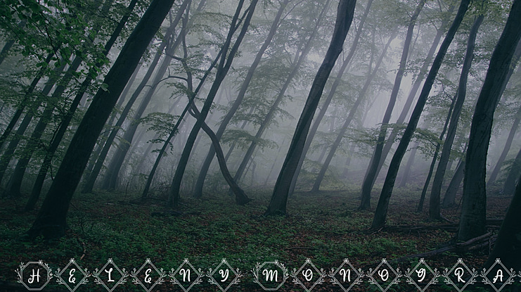 Heleny Monogram Font