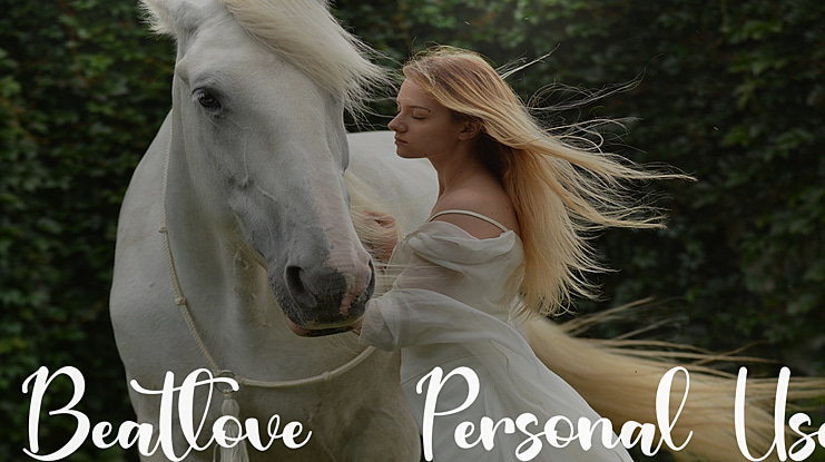 Beatlove -Personal Use Font