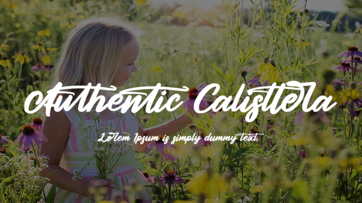 Authentic Calisttera Font