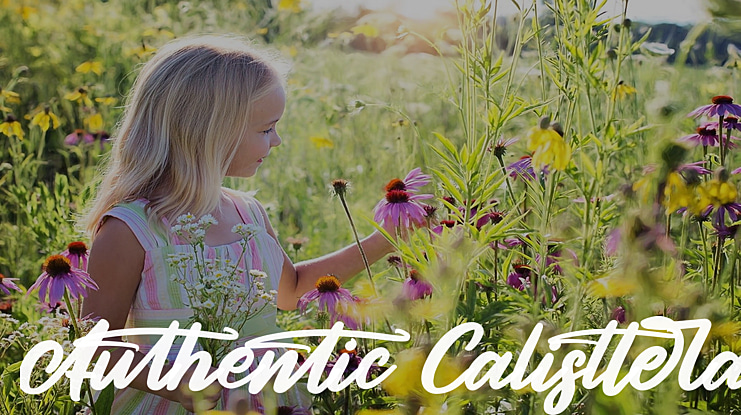 Authentic Calisttera Font