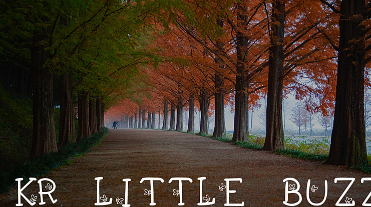 KR Little Buzz Font
