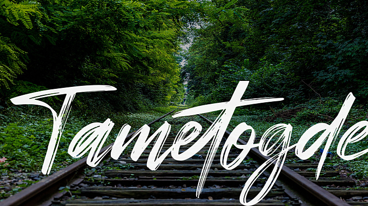 Tametogde Font