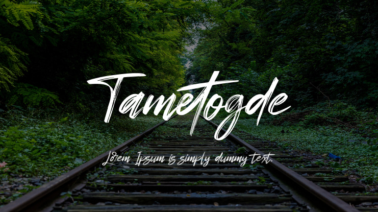 Tametogde Font