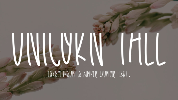 Unicorn Tall Font