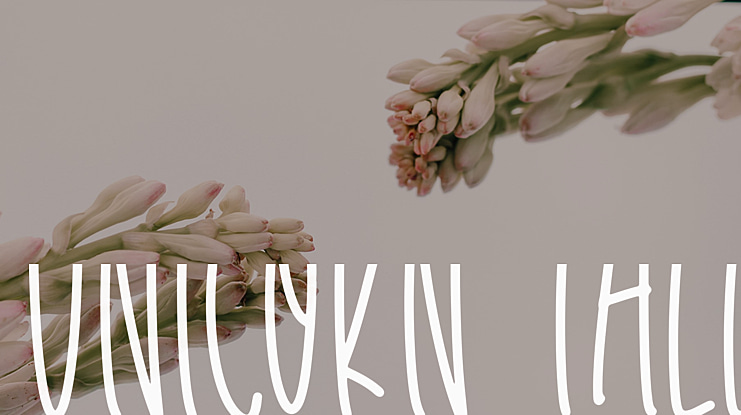 Unicorn Tall Font