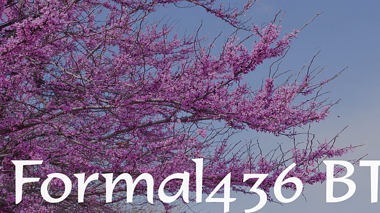 Formal436 BT Font