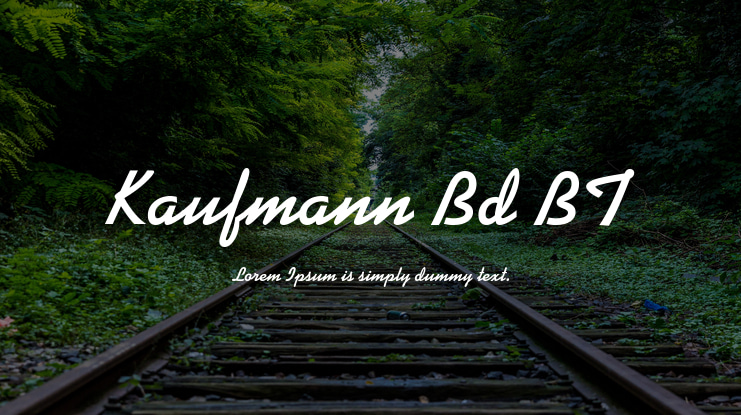 Kaufmann Bd BT Font