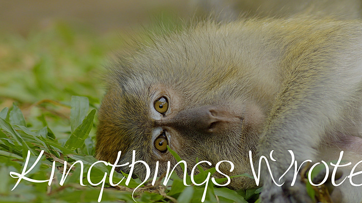 Kingthings Wrote Font