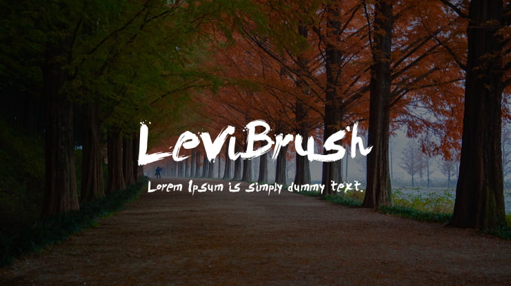 LeviBrush Font