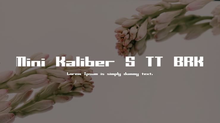 Mini Kaliber S TT BRK Font
