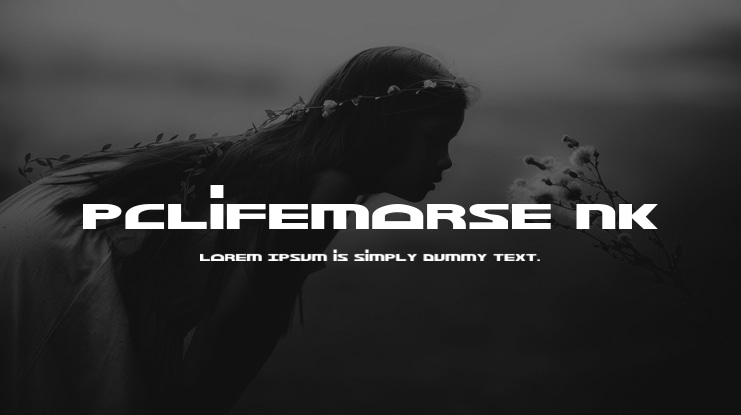 PCLifeMorse NK Font