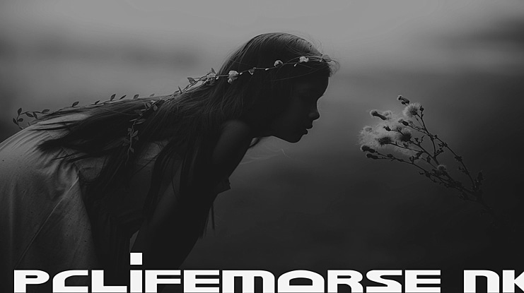 PCLifeMorse NK Font