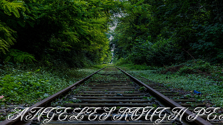 ANGELES ROUGH PERSONAL USE Font