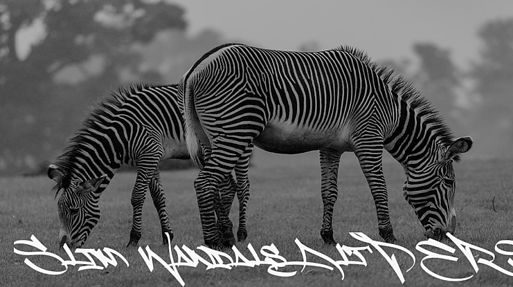 Slim Wandals Alt PERSONAL USE Font Family