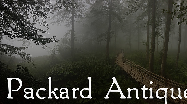 Packard Antique Font