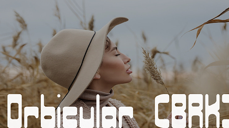 Orbicular (BRK) Font
