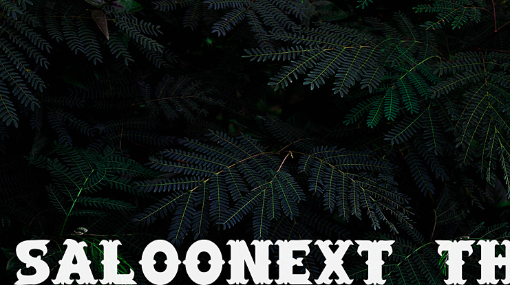SaloonExt Th Font