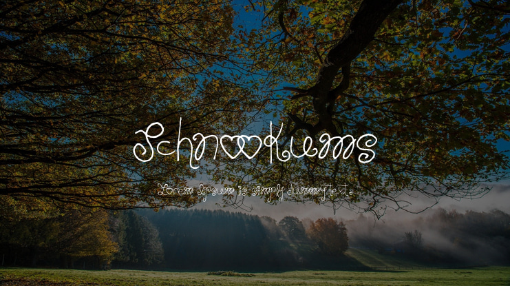 Schnookums Font