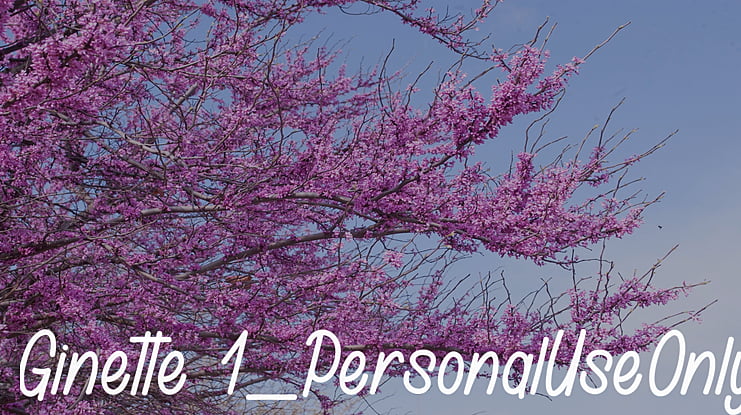Ginette 1_PersonalUseOnly Font Family