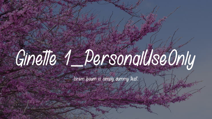 Ginette 1_PersonalUseOnly Font Family