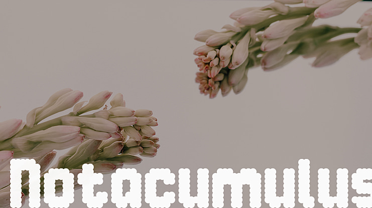 Notacumulus Font