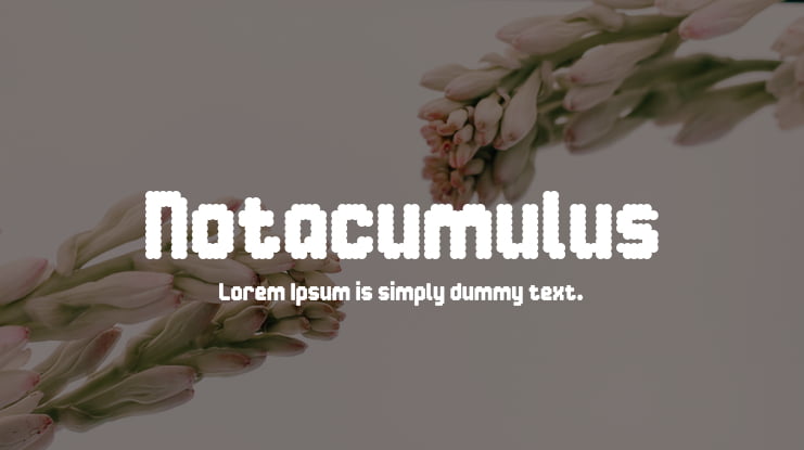 Notacumulus Font