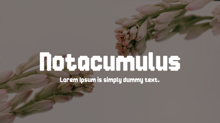 Notacumulus Font