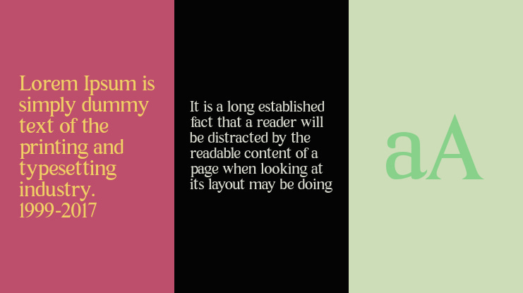 Times New Normal Font