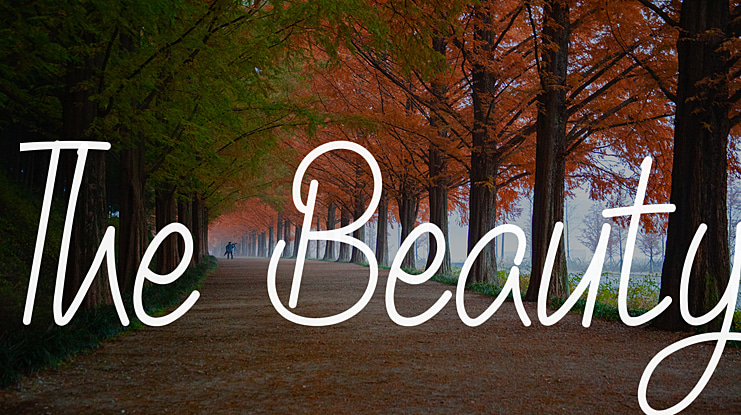 The Beauty Font