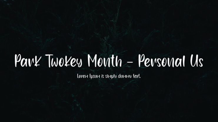Park Twokey Month - Personal Us Font