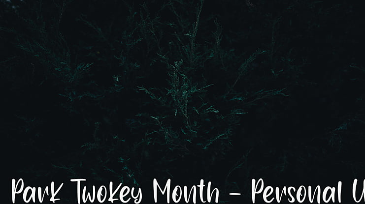 Park Twokey Month - Personal Us Font