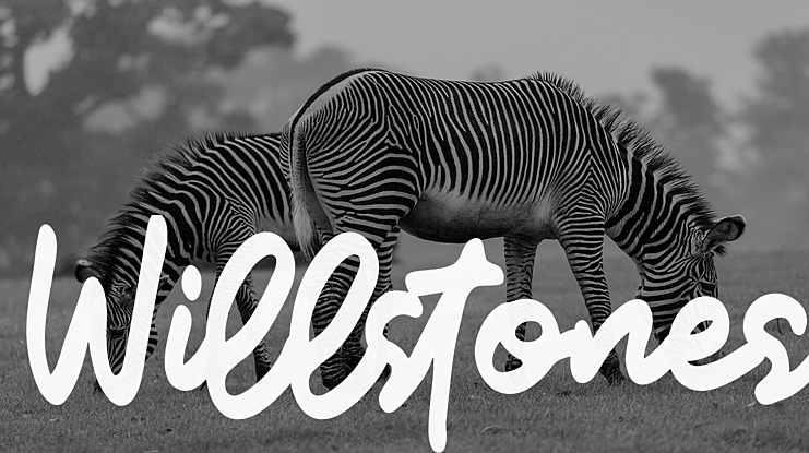 Willstones Font