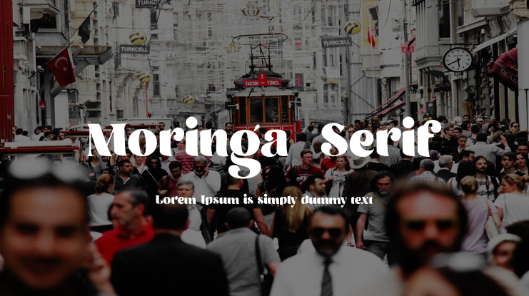 Moringa  Serif Font