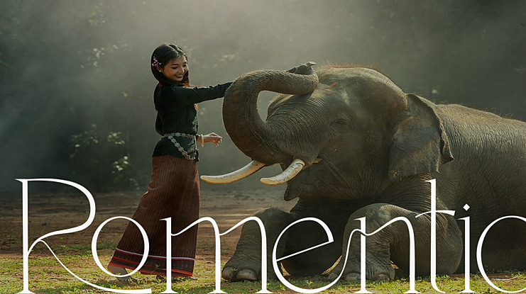 Romentic Font