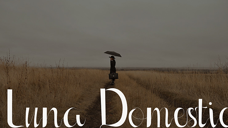 Luna Domestic Font